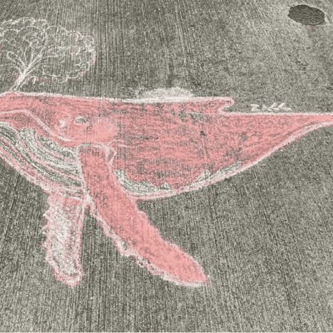 Wahle Chalk
