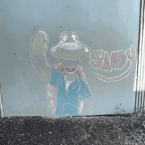 Sandy 50%